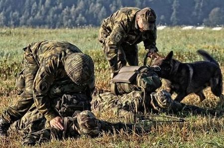 Výcvik přežití absolvovali hraničtí se psy v patách