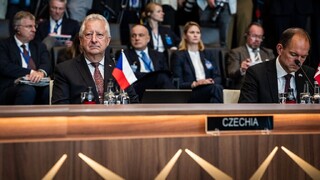 Minister Zůna met with Moldovan Defence Minister in Prague