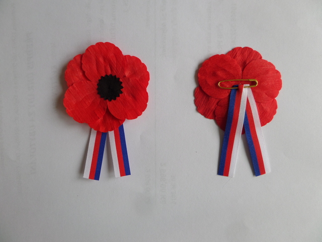 Vlčí mák – symbol Dne válečných veteránů