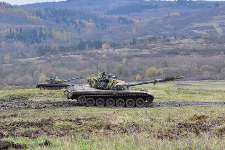 Battalion field exercises validate combat readiness of the 7th Mechanised Brigade