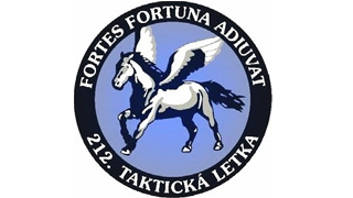 Čáslavští vojáci vybrali pro Terezku 40 tisíc korun