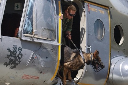 Psovodi na Libavé procvičují to, co je nejvíc ohrožuje v Afghánistánu