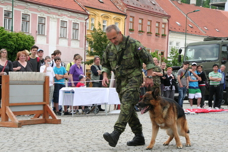 Ukázka výcviku služebních psů v Třebíči
