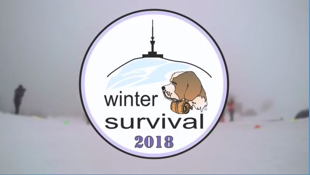 Ilustrační obrázek ke článkuÚčastníci mezinárodního závodu Winter Survival 2018 mají za sebou první den