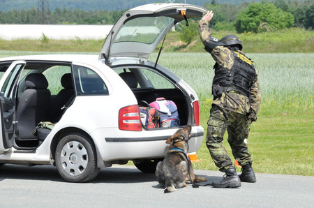 Podezření na nebezpečné zavazadlo potvrdil i policejní pyrotechnik a proto byl povolán psovod, jehož cvičený pes označil zalehnutím nález výbušniny