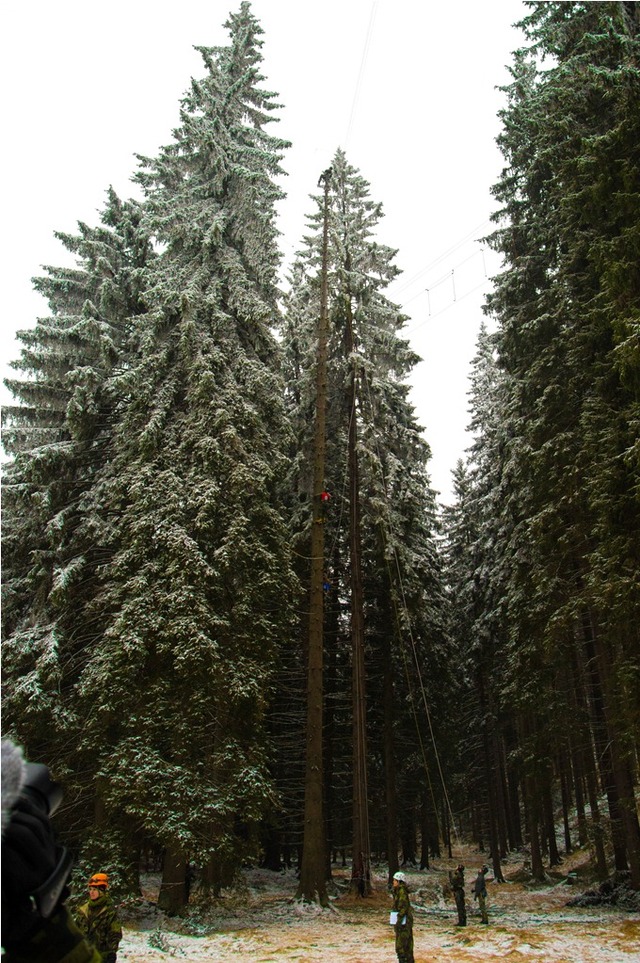 Totem