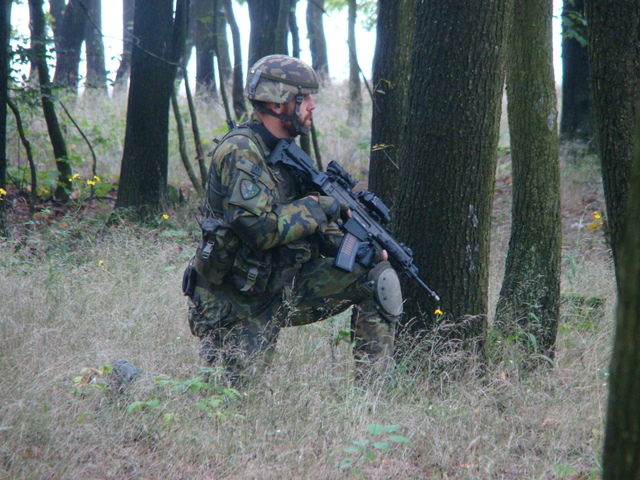 Patrolování strážních čet