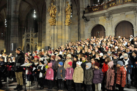 Poděkování stonožkovým dětem