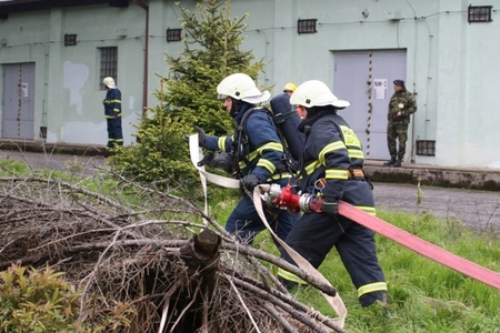 Taktické cvičení BURNING FOREST 2010