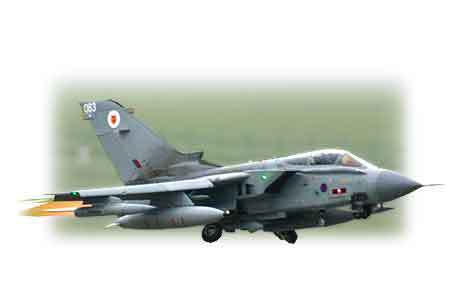 Cvičení Flying Rhino 2010 končí