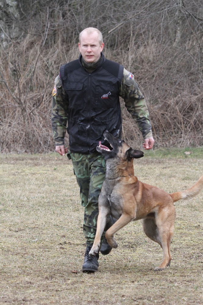 Služební psi Hradní stráže musí procházet pravidelným výcvikem