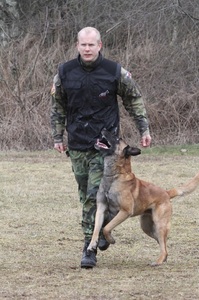 Služební psi Hradní stráže musí procházet pravidelným výcvikem