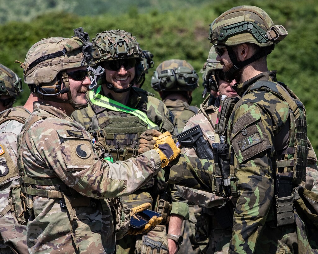 Čeští a američtí vojáci během cvičení Immediate Response
