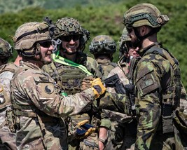 Čeští a američtí vojáci během cvičení Immediate Response