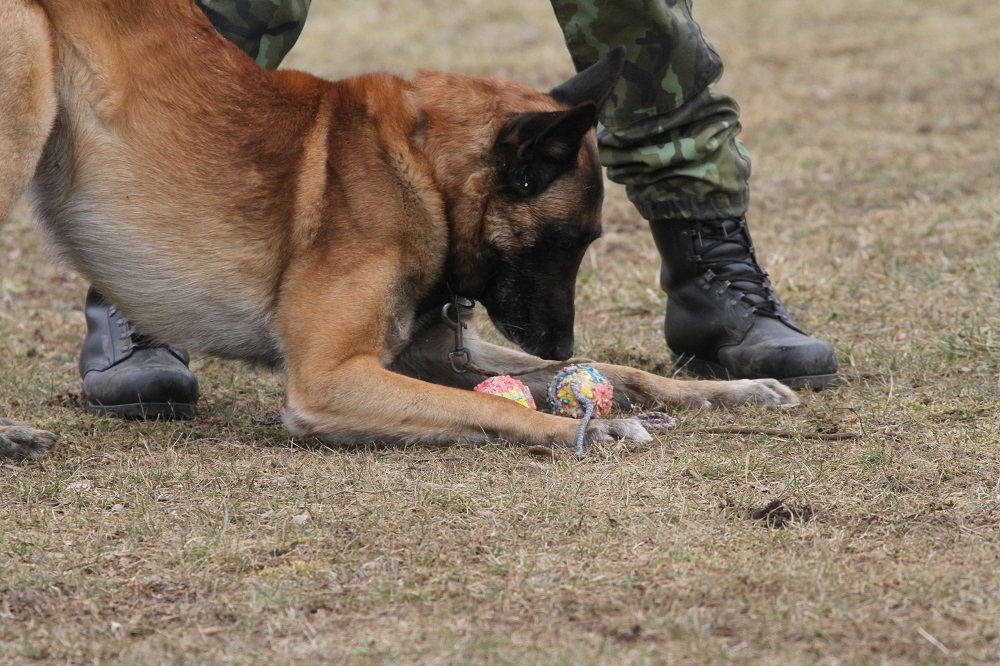 Za svůj míček udělá Coudy cokoliv