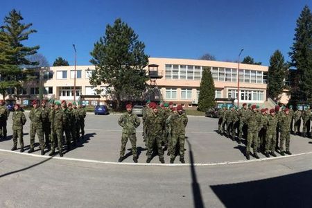 Cvičení Training Bridge 2017 bylo ukončeno