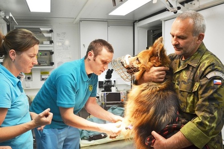 Operačnímu zákroku předchází příprava