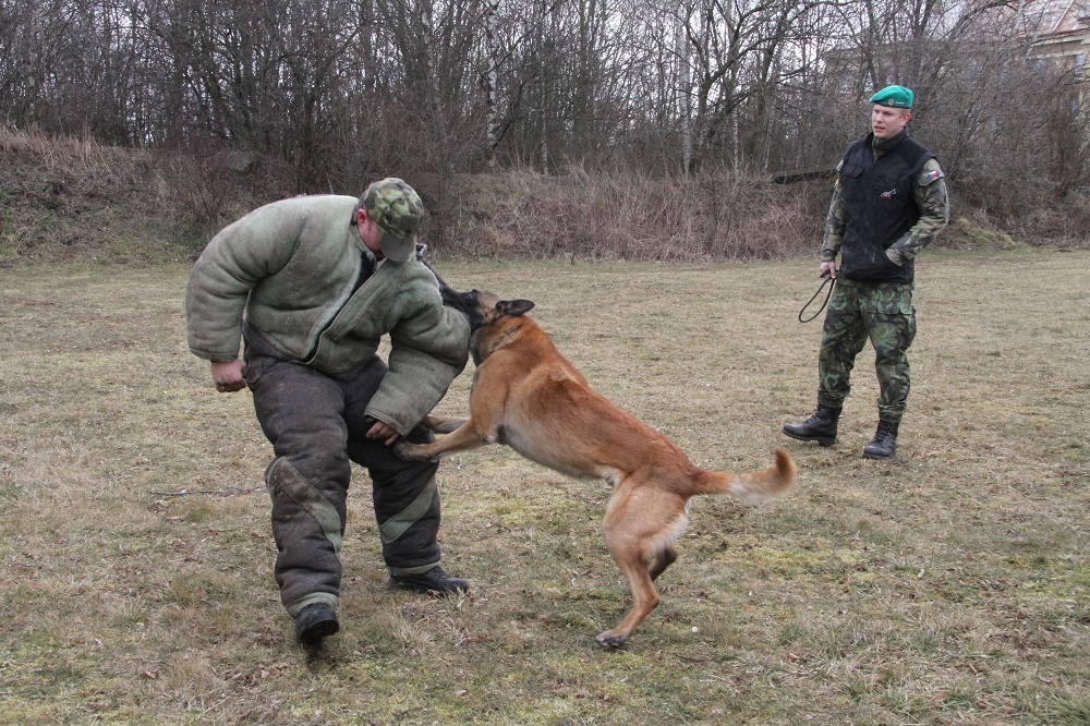 K výcviku obrany slouží zejména Ringo oblek