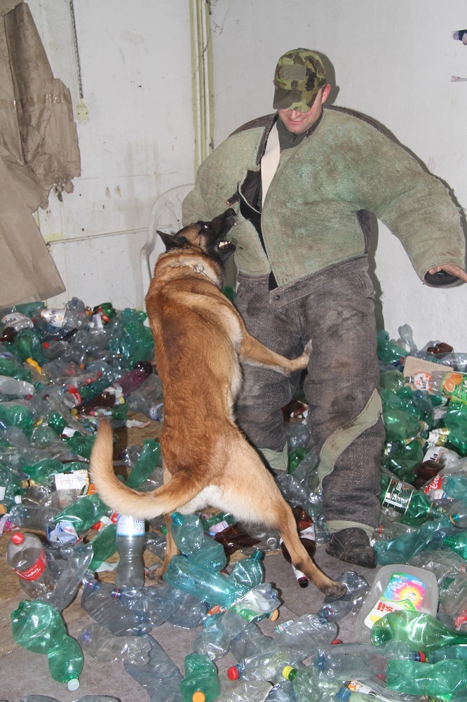 Pes musí umět zasáhnout v jakémkoli prostředí