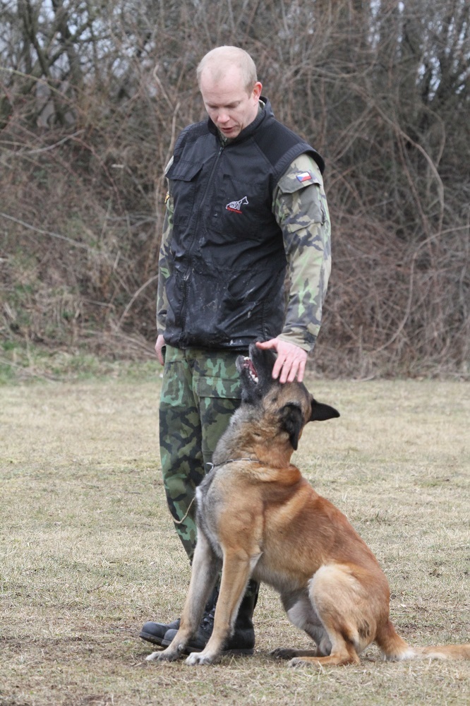 Výcvik poslušnosti