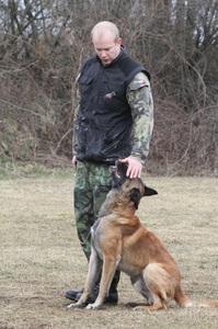 Výcvik poslušnosti