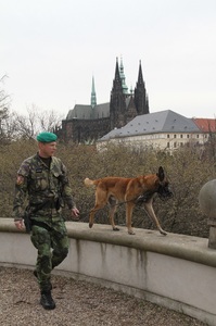Psovod Hradní stráže rotný Tomáš Novák a pes Coudy při službě na Pražském hradě