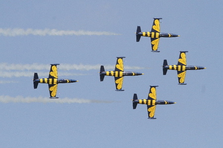 Armádní ukázky korunovaly letošní CIAF 