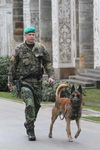 Psovodi Hradní stráže prověřují i prostory přilehlých zahrad, kde se pohybují turisté