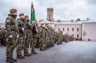 Slavnostní nástup 31. pluku