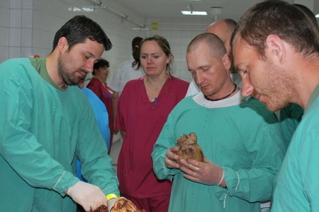 Armádní zdravotníci absolvovali unikátní zdokonalovací kurz