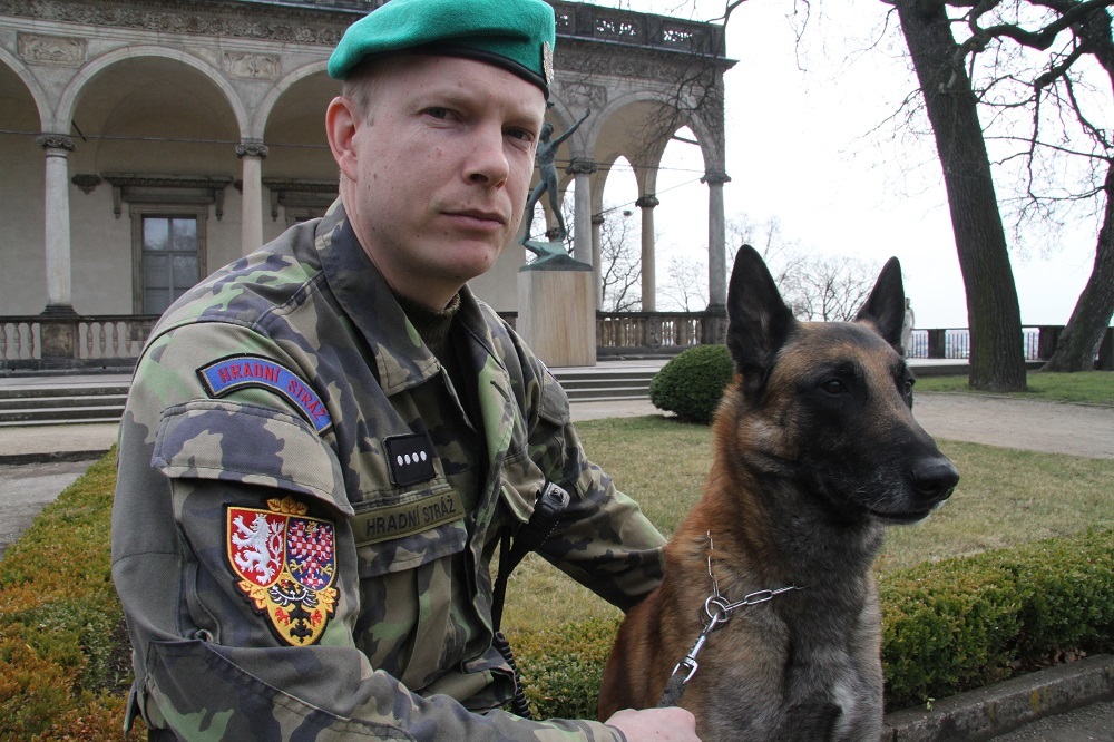 Belgickému ovčáku Coudymu je šest let a na službu je připraven 24 hodin denně