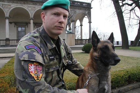 Belgickému ovčáku Coudymu je šest let a na službu je připraven 24 hodin denně