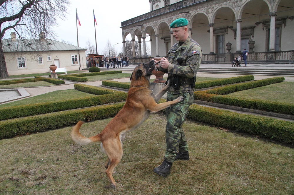 Výcvik musí být pro psa hrou, říká jeho psovod rotný Novák