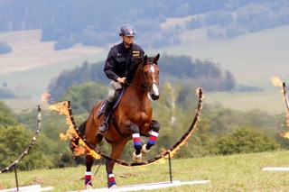 Ukázka výcviku služebních koní Policie ČR