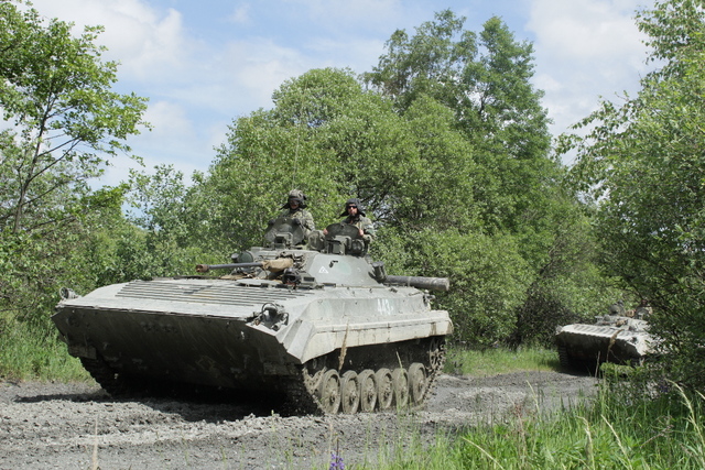 Jednotky imitující protivníka BVP 2