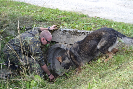 Bombaři a zbraňař šli na Boleticích po výbušninách a zbraních