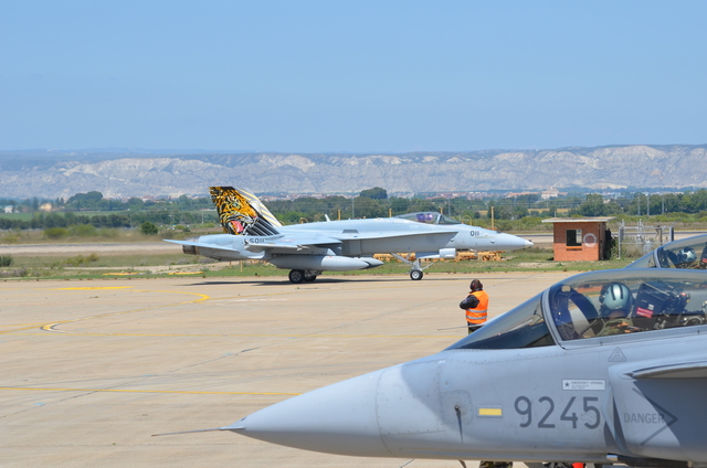  Letoun F-18C Hornet v tygřím zbarvení