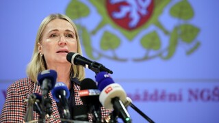 Ilustrační obrázek ke článkuProjev ministryně obrany na Velitelském shromáždění náčelníka Generálního štábu AČR