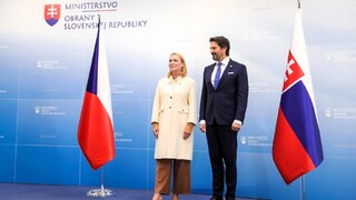 Ilustrační obrázek ke článkuMinistryně obrany jednala na Slovensku o společných projektech