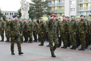 3 Přehlídka nastoupených jednotek NGŠ AČR a předávajícím velitelem VeV-VA
