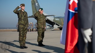 Jednání předcházel slavnostní ceremoniál s vojenskými poctami
