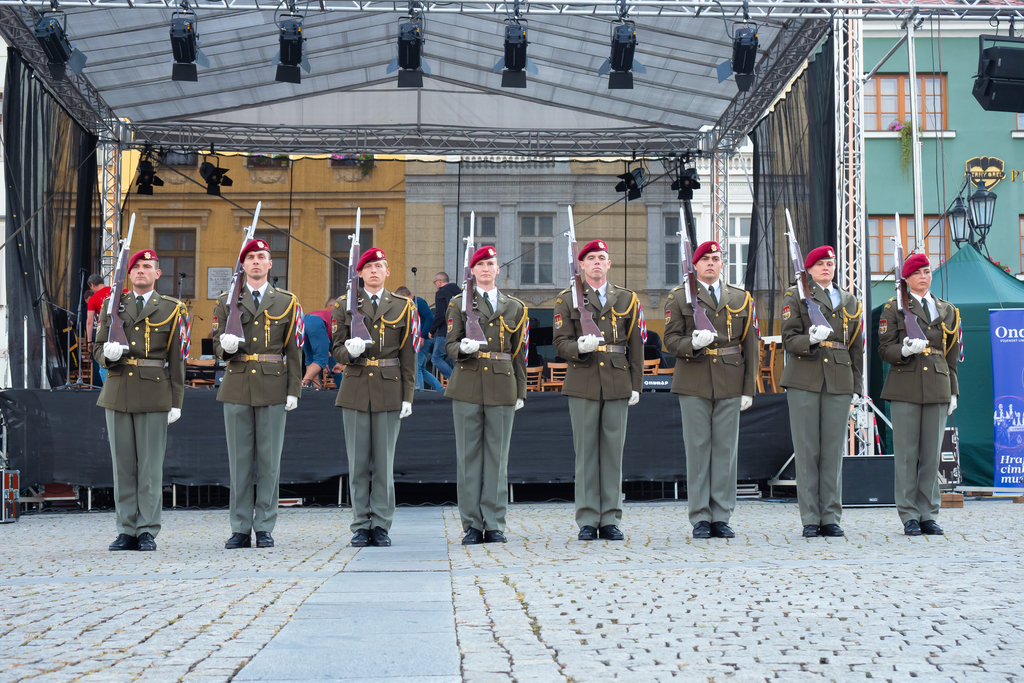 Exhibiční družstvo Čestné stráže vystupuje na mnoha velkých akcí Armády ČR na veřejnosti. Zde během Festivalu vojenských hudeb v Olomouci.