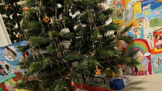 Ilustrační obrázek ke článkuVánoční svátky ve službě. České zvyky a tradice v mezinárodním prostředí zahraničních operací