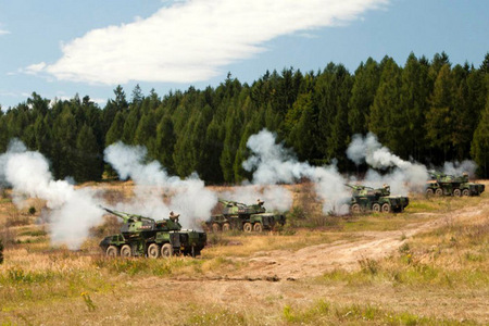 Dělostřelci na cvičení Gun Fire 2012