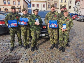 Ilustrační obrázek ke článkuKupte si vlčí mák v ulicích českých měst přímo od vojáků a podpořte Vojenský fond solidarity