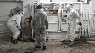Nácvik odebírání vzorků k laboratornímu vyšetření 
