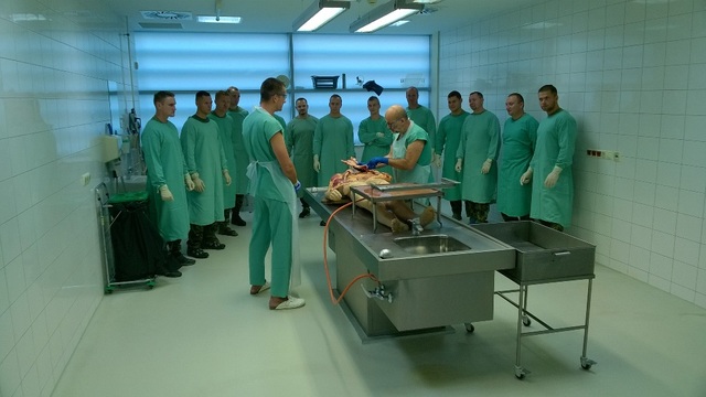  Reálné seznámení s lidským tělem