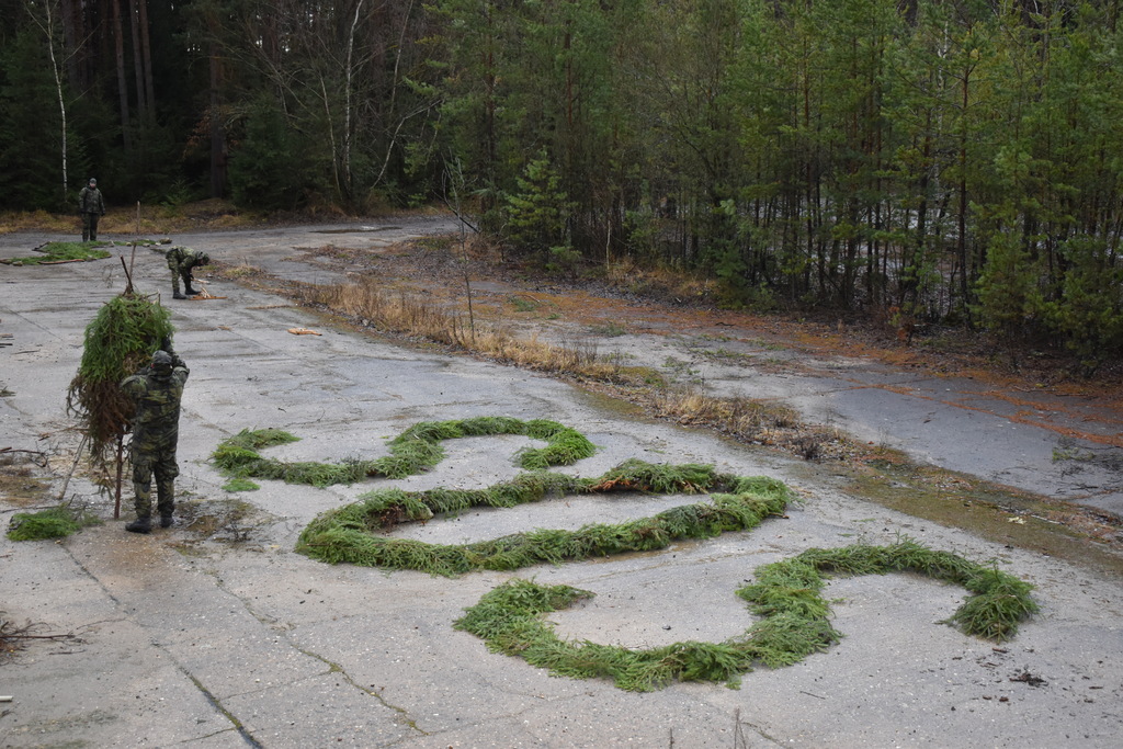 Mezinárodní nouzová signalizace