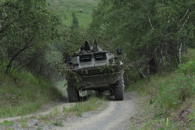 Jednotky imitující protivníka při přesunu