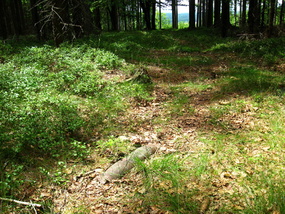 Střela ráže 122 mm OS